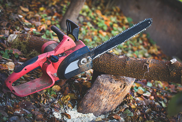 Best Hedge Trimming  in Cross Plains, WI